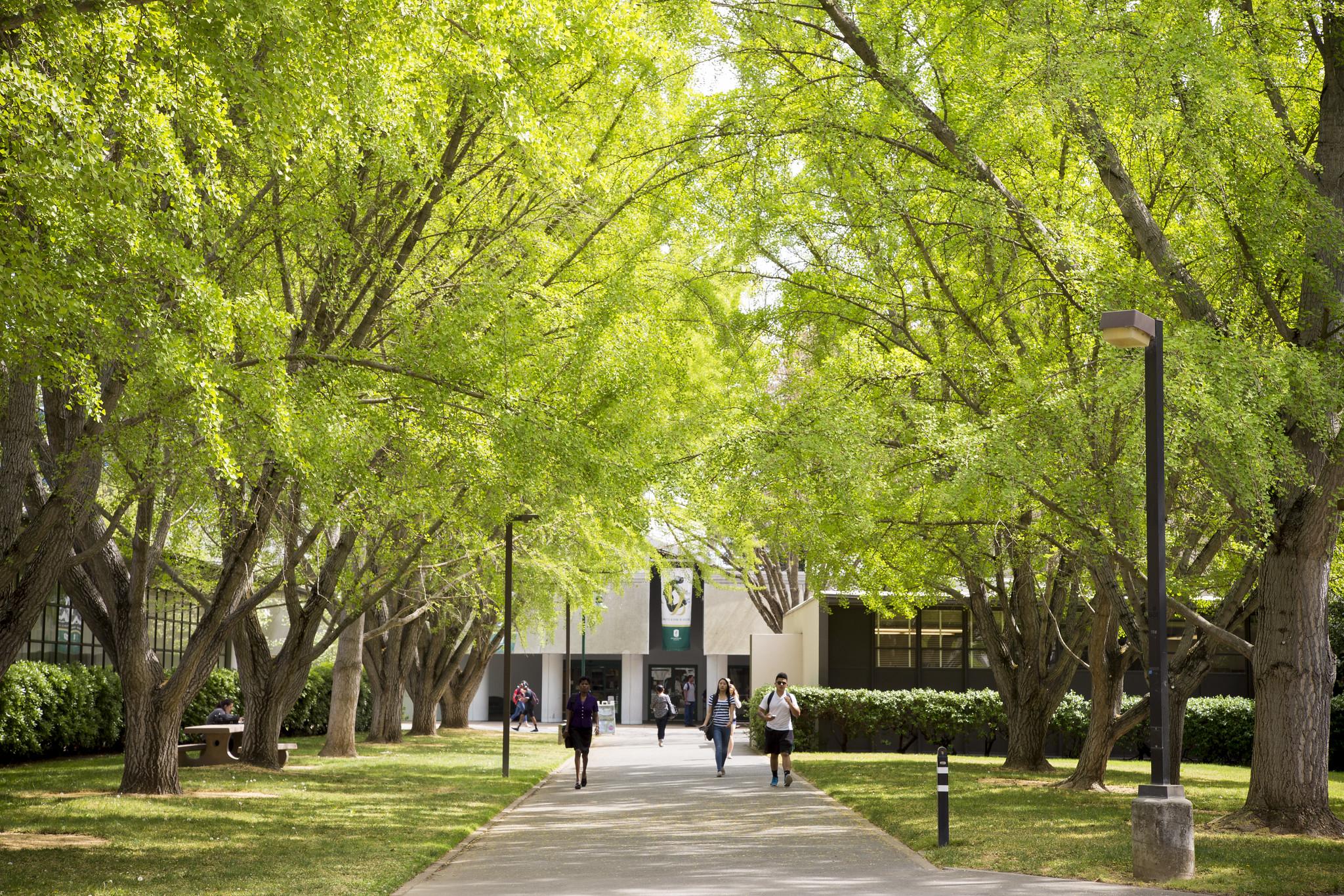 A large gathering of students on grassy part of campus